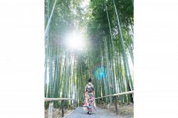 夢占い・夢診断│着物の夢は何を暗示している？