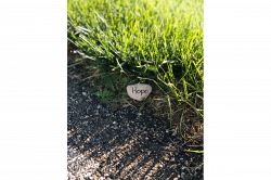 夢占い・夢診断│道草の夢は何を暗示している？