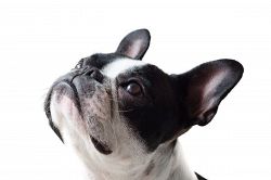 人生占い│あなたという人間をつくっている「一番重要な資質」