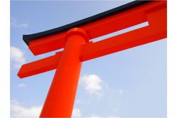 夢占い・夢診断│鳥居の夢は何を暗示している？