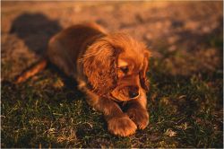 タロット占い│『運気急上昇◆人生占い』最近、落ち込みやすいと感じていませんか？