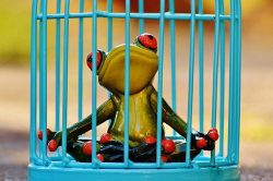 夢占い・夢診断│罪人の夢は何を暗示している？