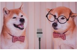 夢占い・夢診断│芸人の夢は何を暗示している？