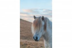 夢占い・夢診断│目が見えない夢は何を暗示している？