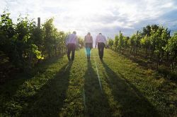 タロット占い│辛口かも…【完全無料印象占い】あなたは周囲の人にどう思われている？