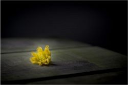 片思い占い│『最初から叶わぬ恋だった？』あなたとあの人の関係が進展しない原因とは？