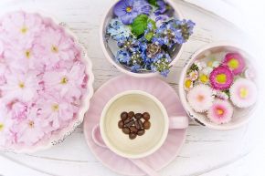 占いコラム│あなた（性質【火】）の正しい婚活法！【出会い確定済】結婚占い