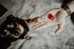 出会い占い│恋はご無沙汰…次の恋まで時間となかなか恋愛が実らない理由