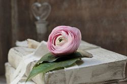 姓名判断│【片思い⇒両想い】あの人の気持ちにあなたが入り込む余地はまだある？