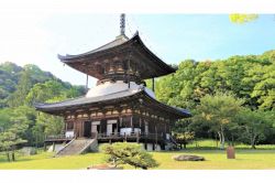 夢占い・夢診断│お寺の夢は何を暗示している？