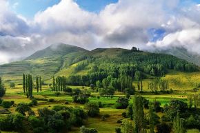 占いコラム│【運命数2のあなた】の片思いの不安“抹消”！～本気で叶える恋愛占～