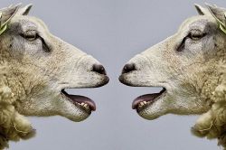 夢占い・夢診断│声の夢は何を暗示している？