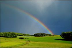 夢占い・夢診断│奇跡の夢は何を暗示している？