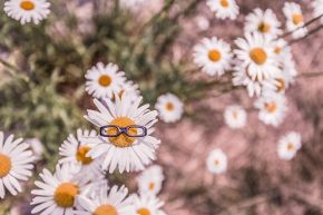 占いコラム│海外でも占いは人気があるの？　海外の占い事情徹底調査