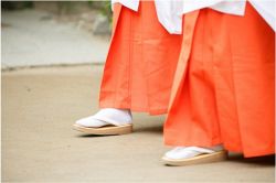 夢占い・夢診断│巫女の夢は何を暗示している？