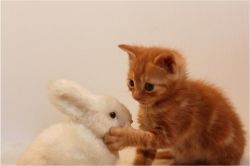 夢占い・夢診断│叩く夢は何を暗示している？