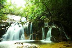 夢占い・夢診断│滝の夢は何を暗示している？