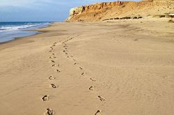 不倫占い│ついに決着！この不倫愛、選ばれるのは誰？～愛を勝ち取る“禁断秘術”