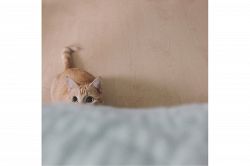 夢占い・夢診断│見守るの夢は何を暗示している？