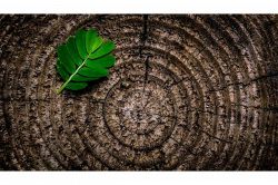 姓名判断│これからの人生、運気はどう？重要人物と運気を上げていくコツ！