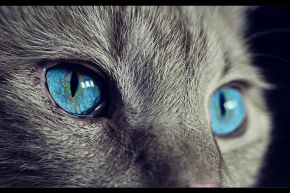 占いコラム│【運命数7のビジネス占】仕事を成功に導く！　一年間のあなたの仕事運 