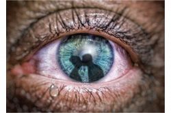 片思い占い│片思いの気になるところ…1ヶ月後の「二人の距離」どうなっている？