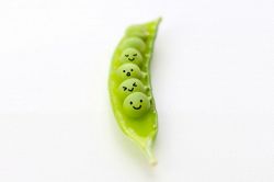 片思い占い│反響続々！◆今知りたい、あの人の本心◆恋のライバル／あなたのポジション