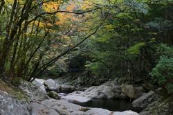 夢占い・夢診断│川が涸れるの夢は何を暗示している？