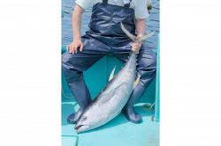 夢占い・夢診断│漁師の夢は何を暗示している？