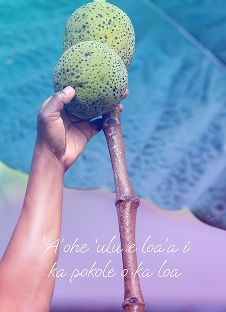 A’ohe ‘ulu e loa’a i ka pokole o ka loa