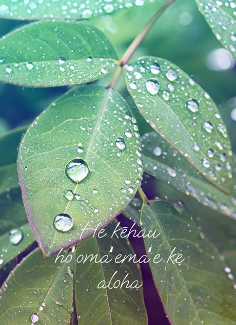 He kēhau hoʻomaʻemaʻe ke aloha