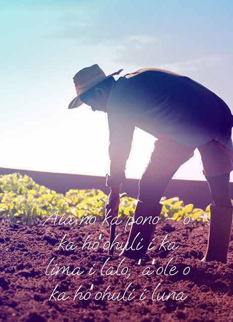 Aia no ka pono – o ka hoʻohuli i ka lima i lalo、ʻaʻole o ka hoʻohuli i luna